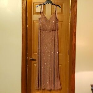 Adrianna Papell Rose Gold Maxi Dress Size 12